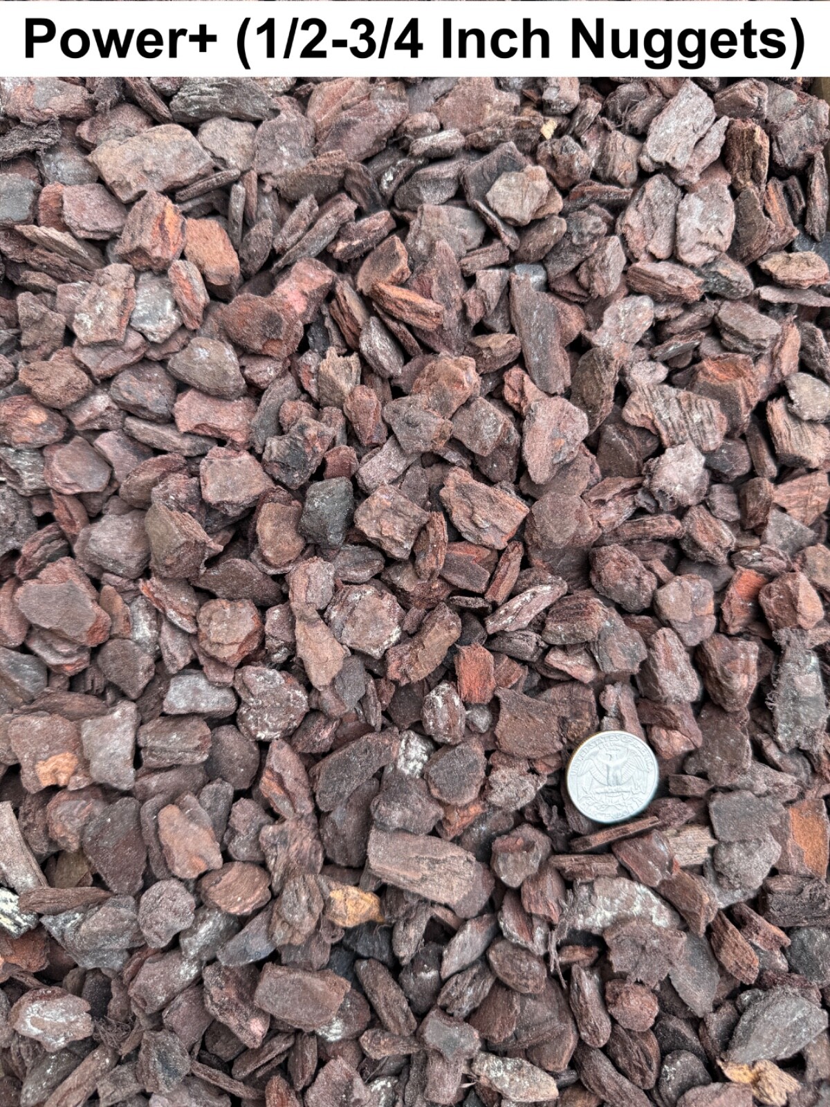 Dalton's of New Zealand Orchiata Bark - Precision, Classic, Power & Power+