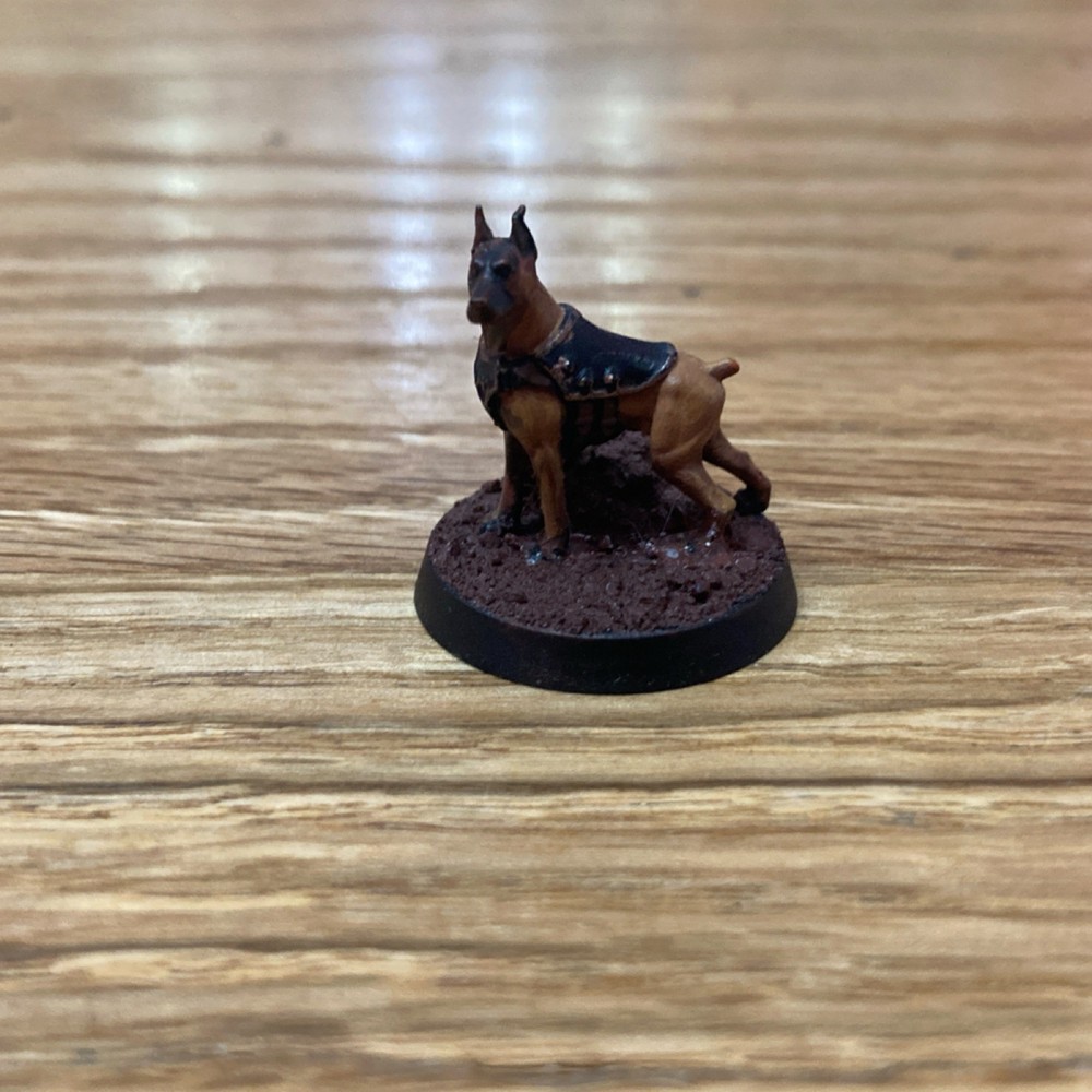 Elucidian Starstriders kill team. Hand painted. Game ready