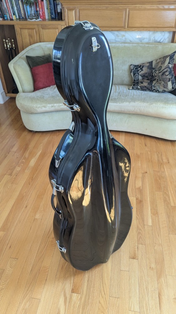 4/4 2012  Eastman Strings Cello