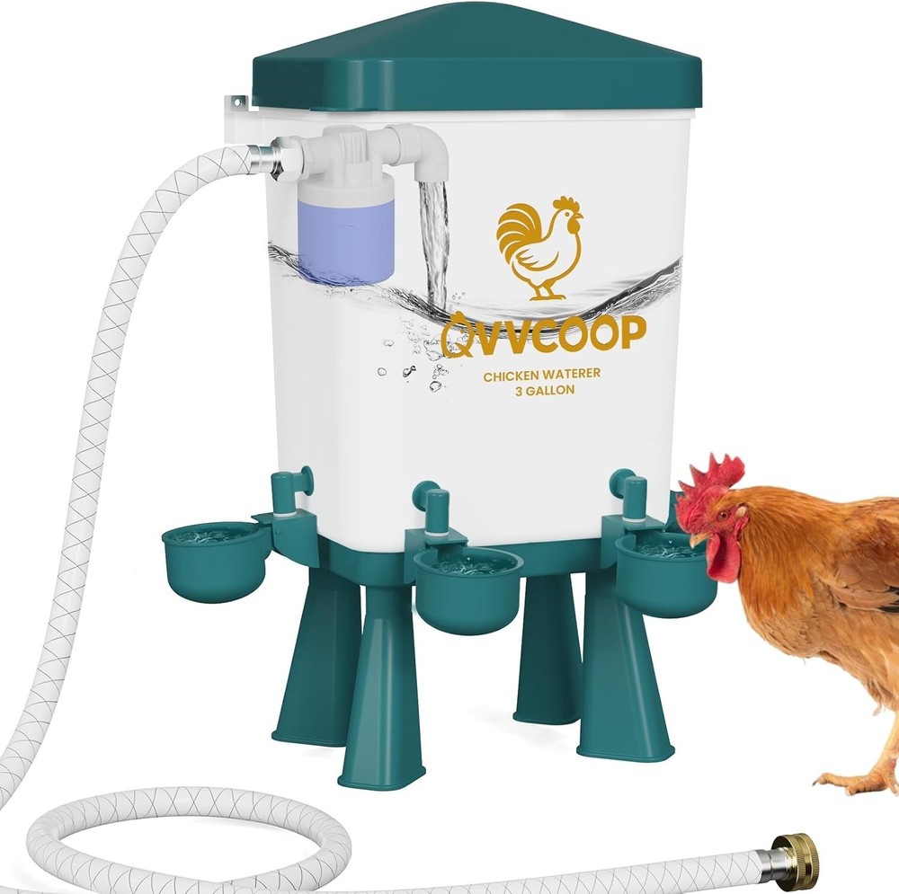 Automatic Chicken Waterer Large Chicken Waterer System Pou