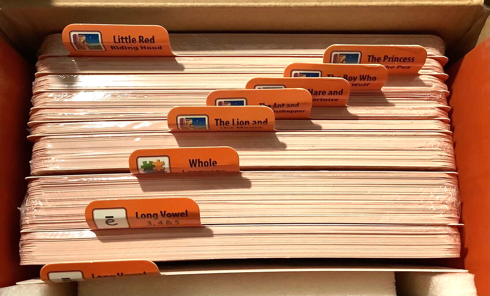 Little Champion Reader - Level 3 / Sentences - 291 Early Learning Flashcards