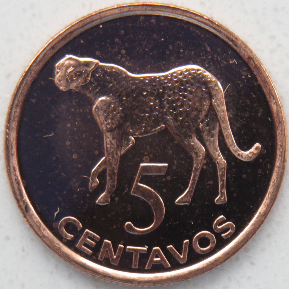 Mozambique 5 Centavos 2006 UNC KM# 133