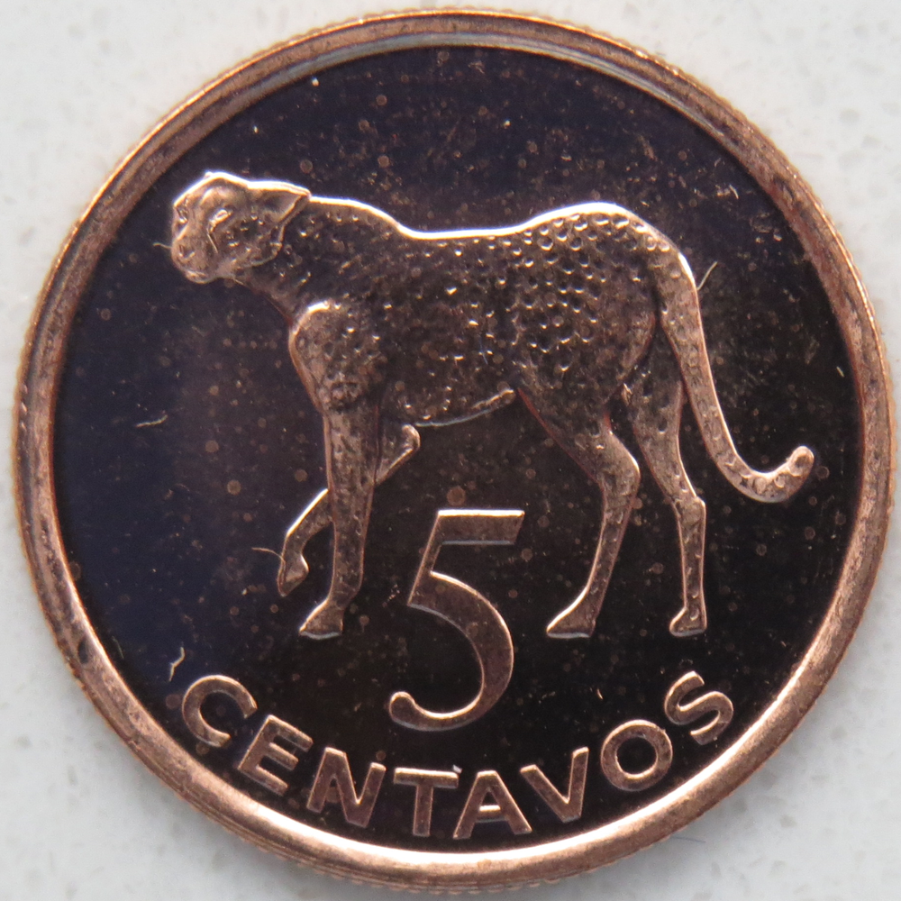 Mozambique 5 Centavos 2006 UNC KM# 133