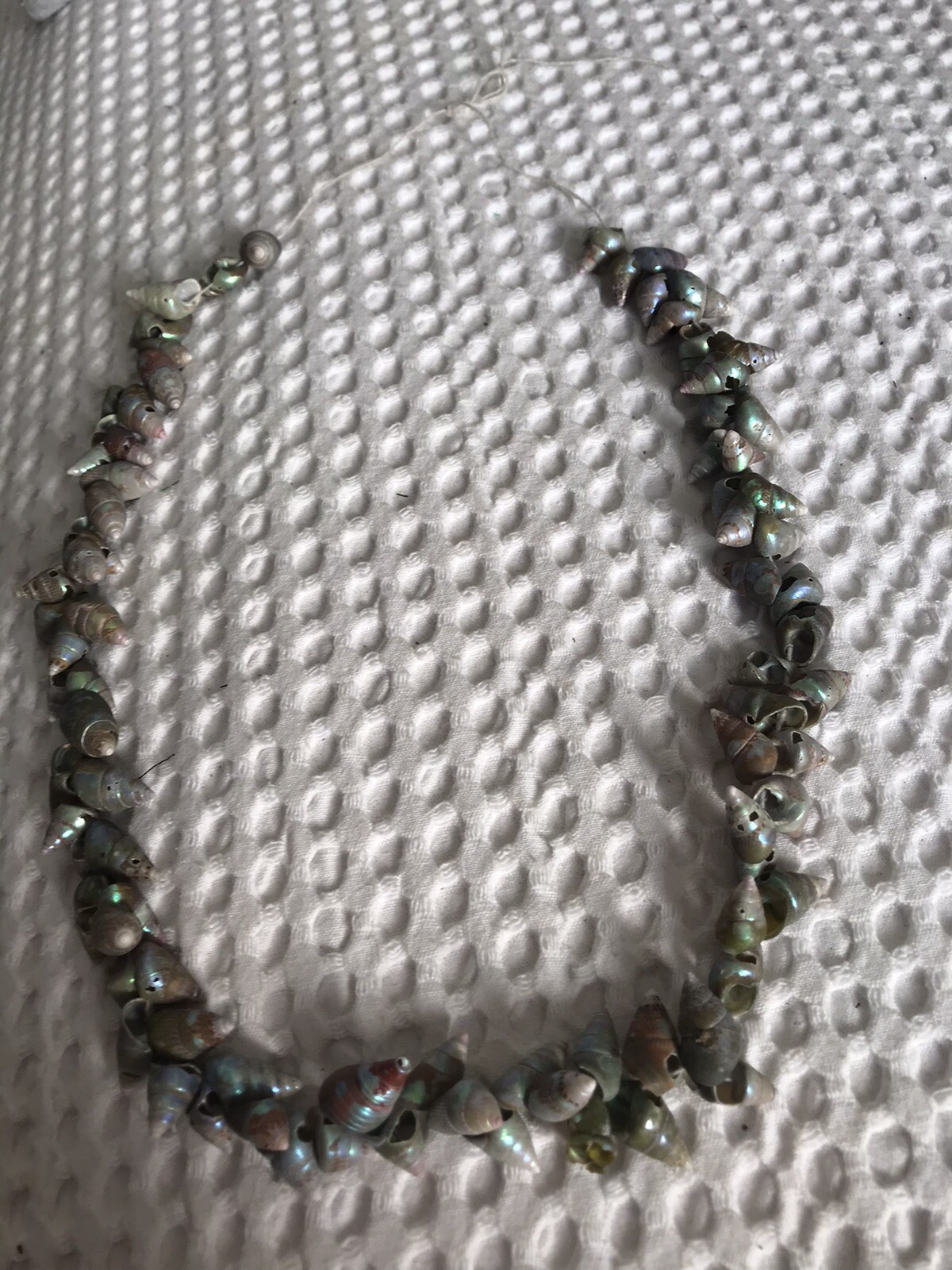 RARE OLD TRADE STRING OF MAIREENER SHELLS