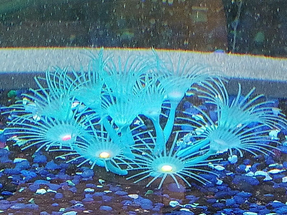 Silicone fish tank decoration