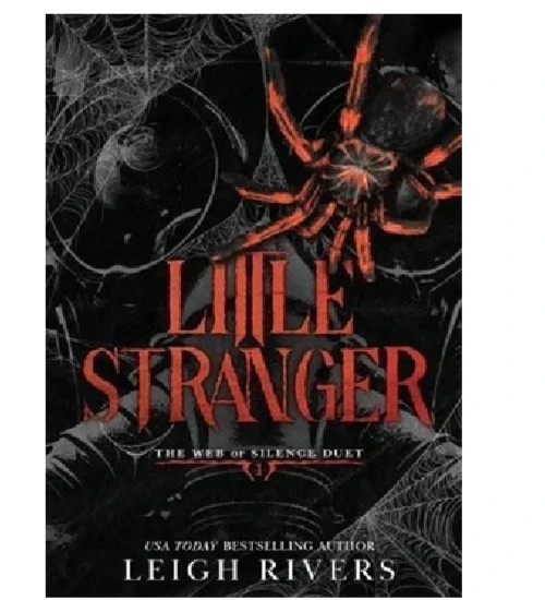 Little Stranger by Leigh Rivers, Paperback