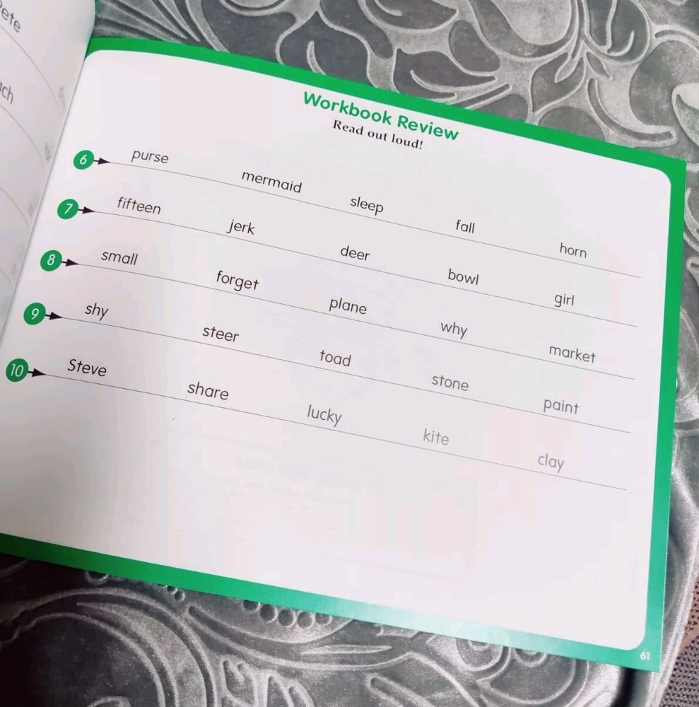 Hooked on Phonics Learn to Read Level 4 Complete Box Set with Workbook