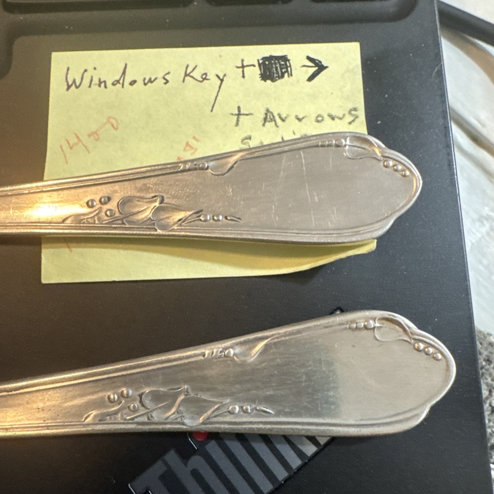 Rogers A1 plus Meadowbrook forks & spoons