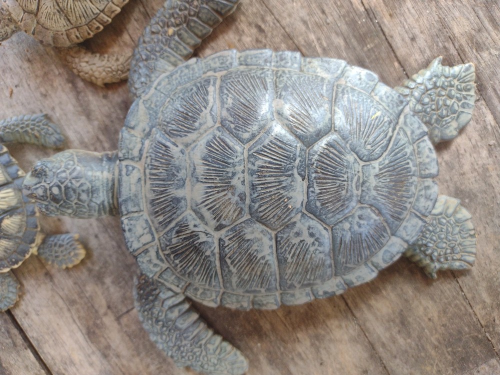 rubber turtles decor