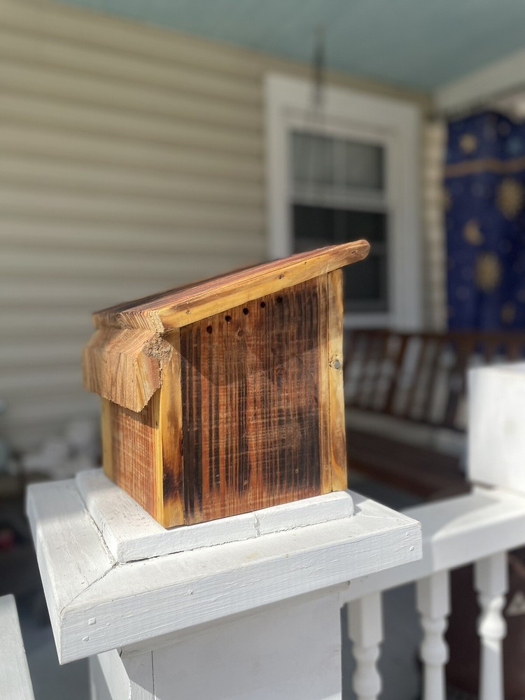 Handcrafted Cedar Bluebird Birdhouse Outhouse