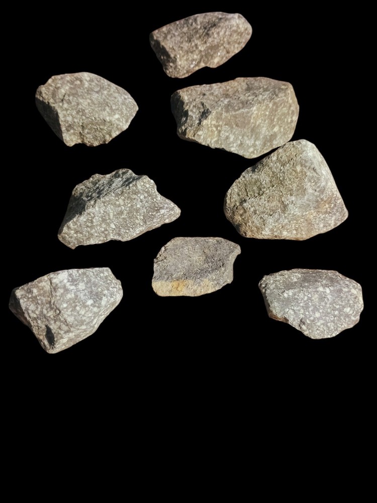 Raw Diorite Igneous Rock Specimen, 2.75" x 1.75" approximately - Multiple Rocks