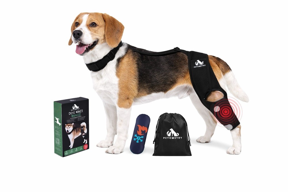 Petometry Dog Knee Brace Medium ACL CCL Support w/ Hot Cold Pack Adjustable