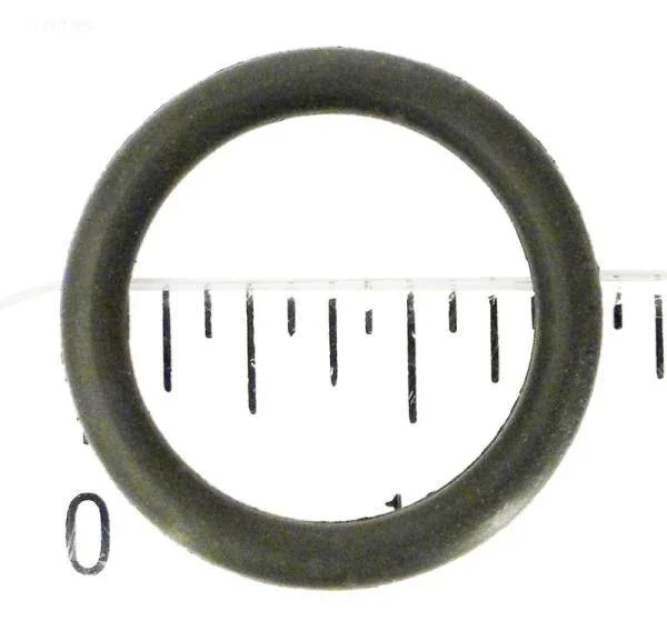Hayward O-Ring, Relief Valve Assembly