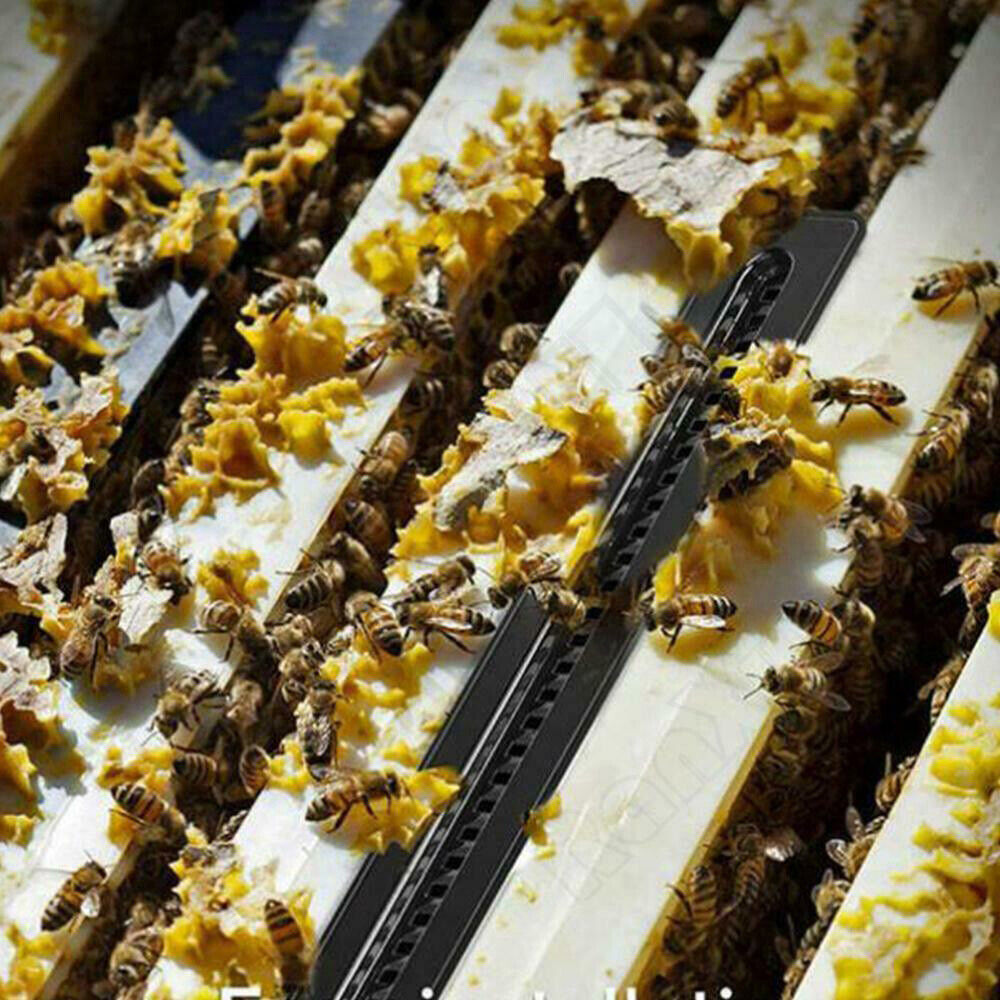 20PCS Plastic Small Bee Hive Beetle Blaster BeeHive Beetle Trap Beekeeping