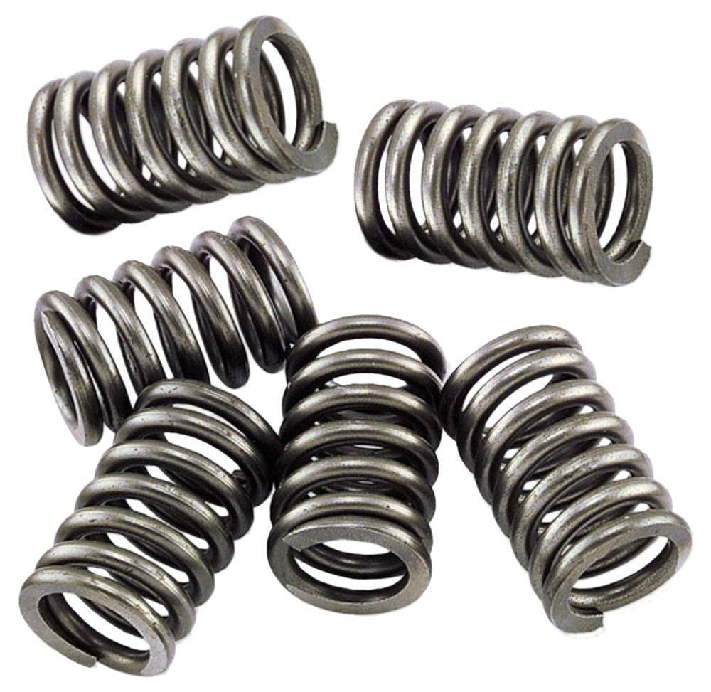EBC CSK Clutch Spring Set (CSK6)