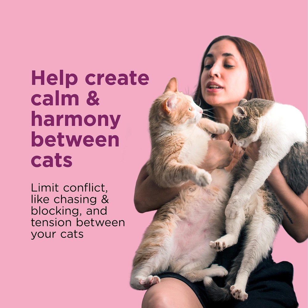 Comfort Zone Multi Cat Calming Diffuser With Refill For Cat Behavior Relief