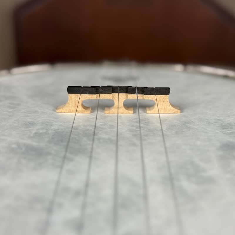 Ome Juniper Deluxe Silver Bell Tone Ring 5-string Openback Banjo