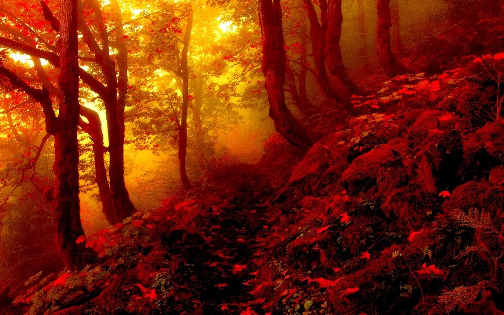 Landscape nature fall forest Custom Gaming Mat Desk