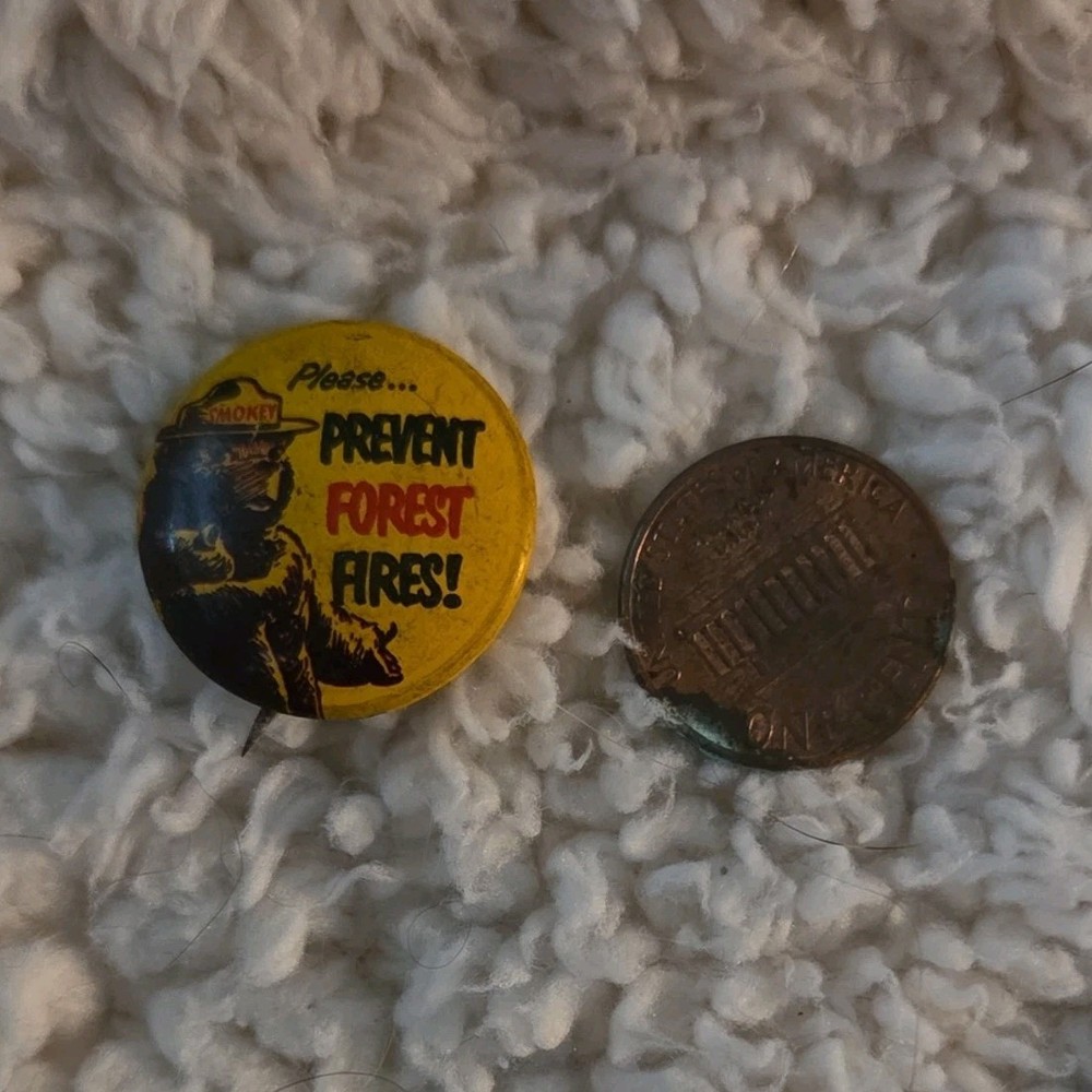 Smokey Bear Prevent Forest Fires Pinback Button Firefighting & Rescue Theme
