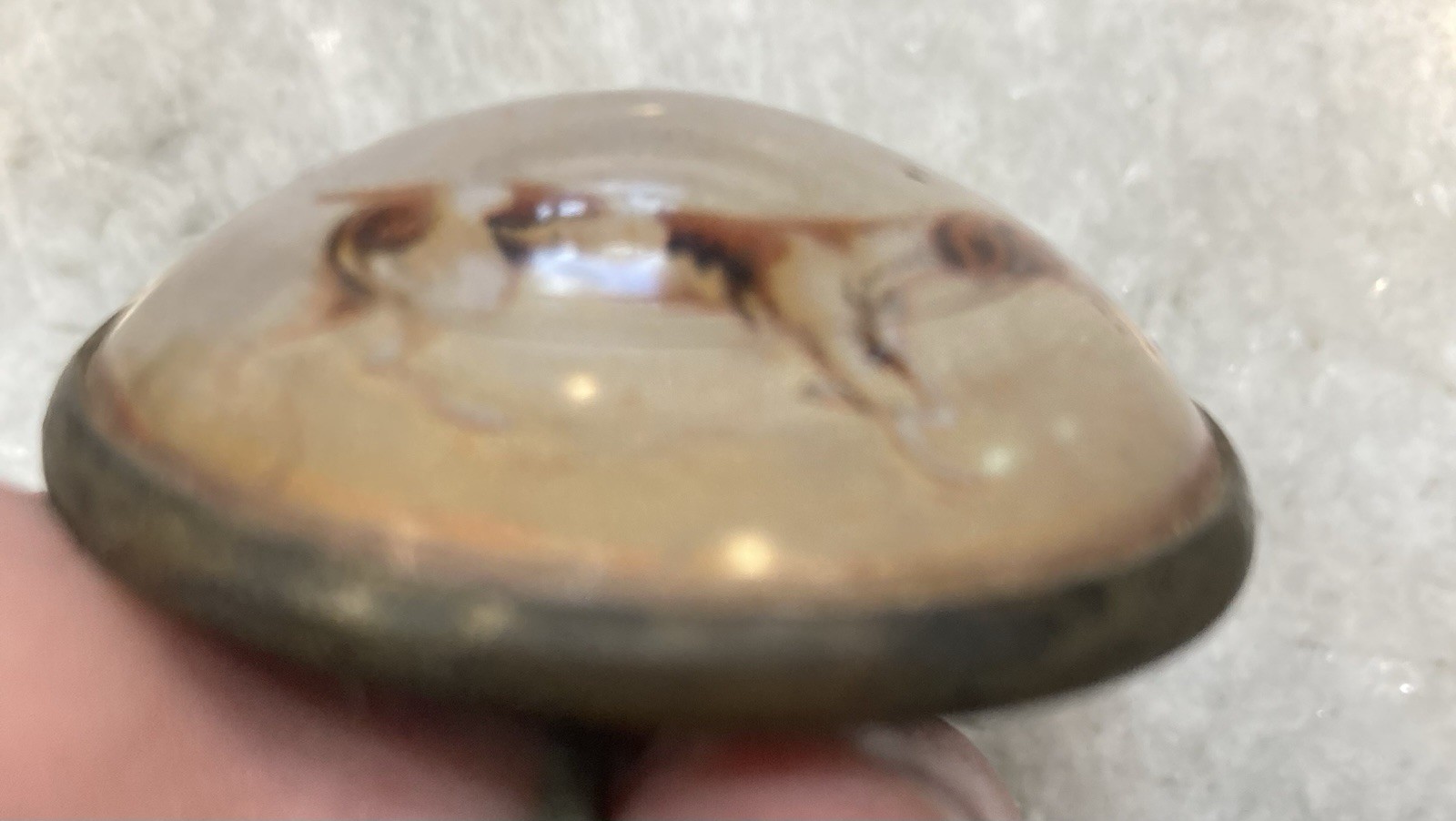 Antique Original Vintage Horse Bridle Rosette Bird Dog Brass And Glass Free Ship