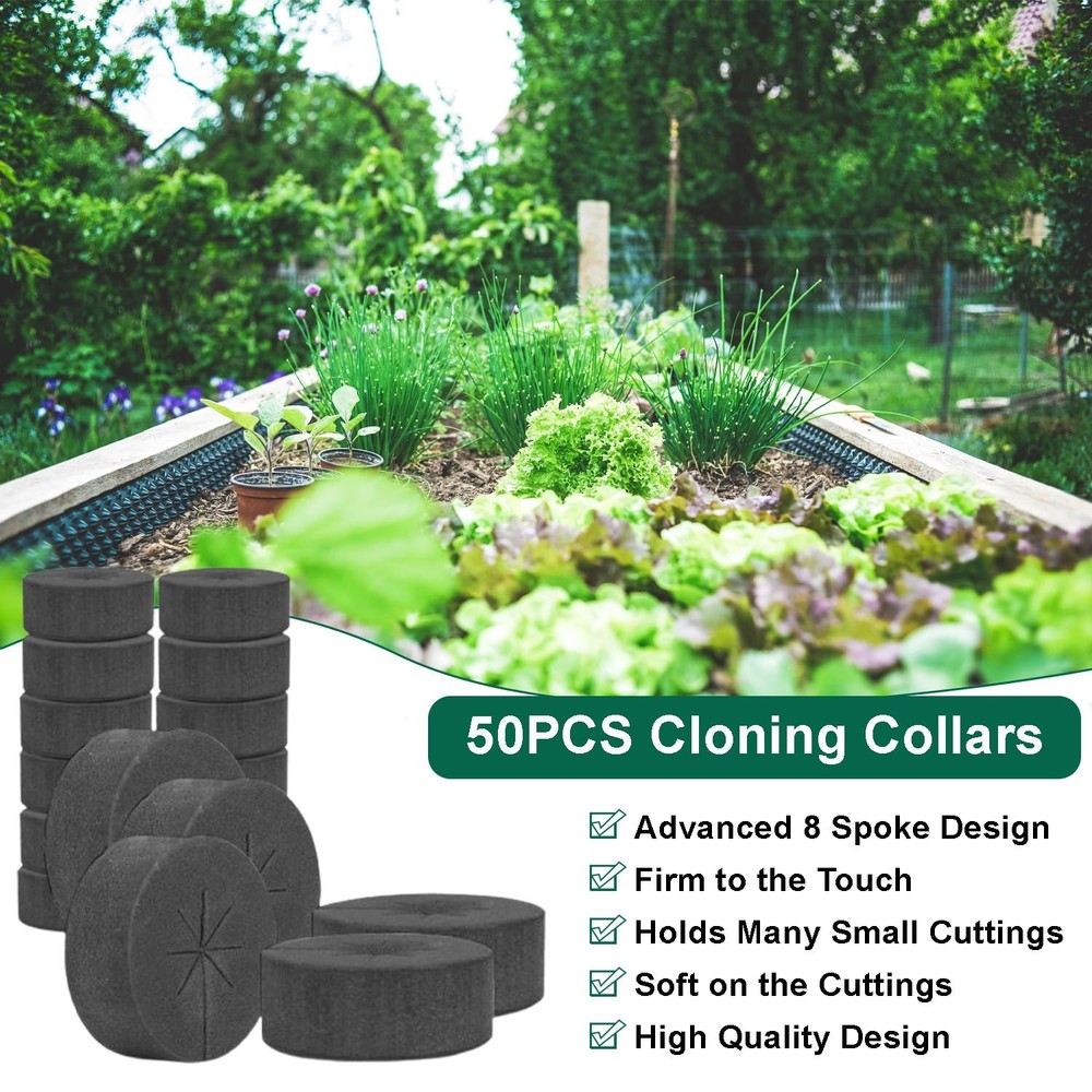 50 Pack Cloning Collars Inserts Premium Grade Foam, DIY Foam Cloner Inserts, ...