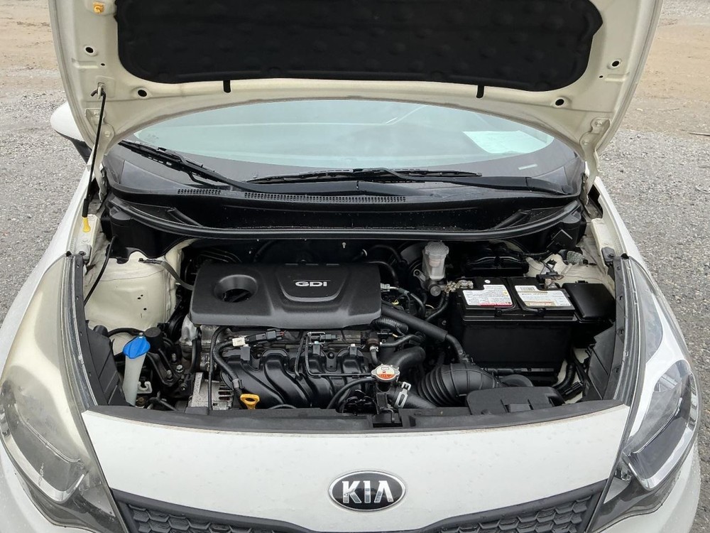 RIO 2016 Glove Box 4949672