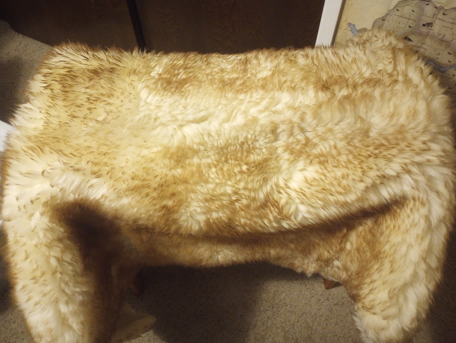 6’ x 3’ Real Lambskin Area Rug KNIGHT 5 Star NEW ZEALAND Or Australian