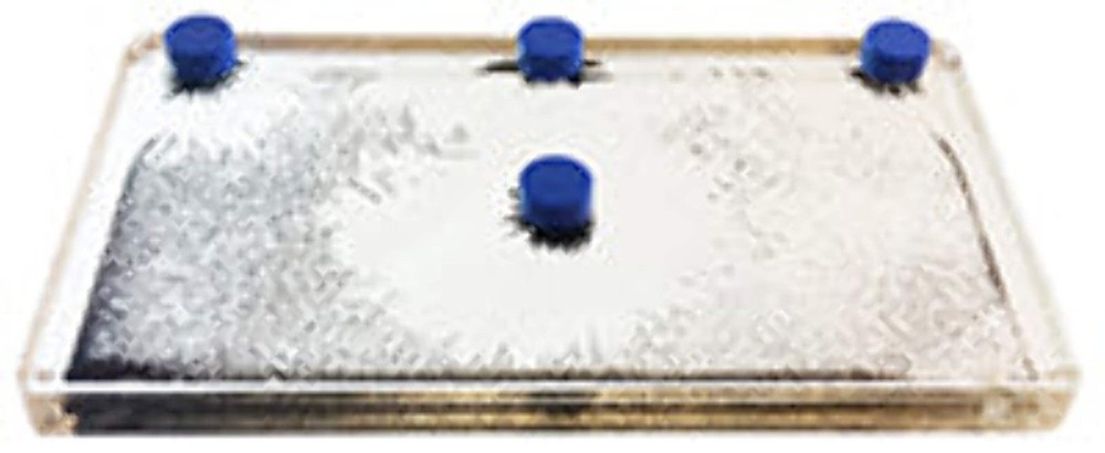 Magnetic Field Demonstration