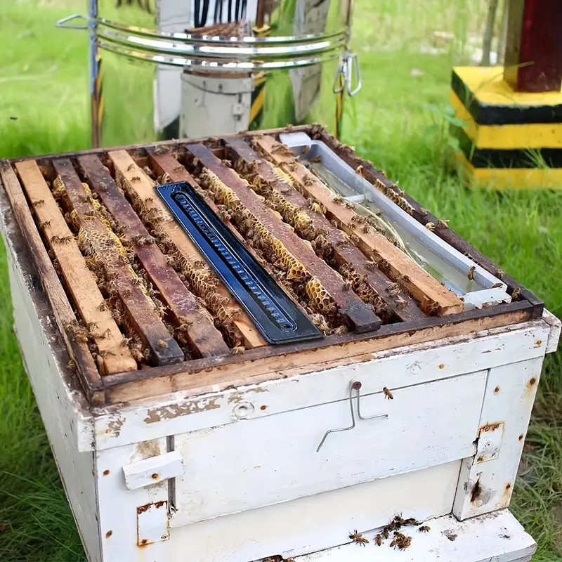 20/40/60×Hive traps Beetle Beekeeping tool For catching small beetles in beehive