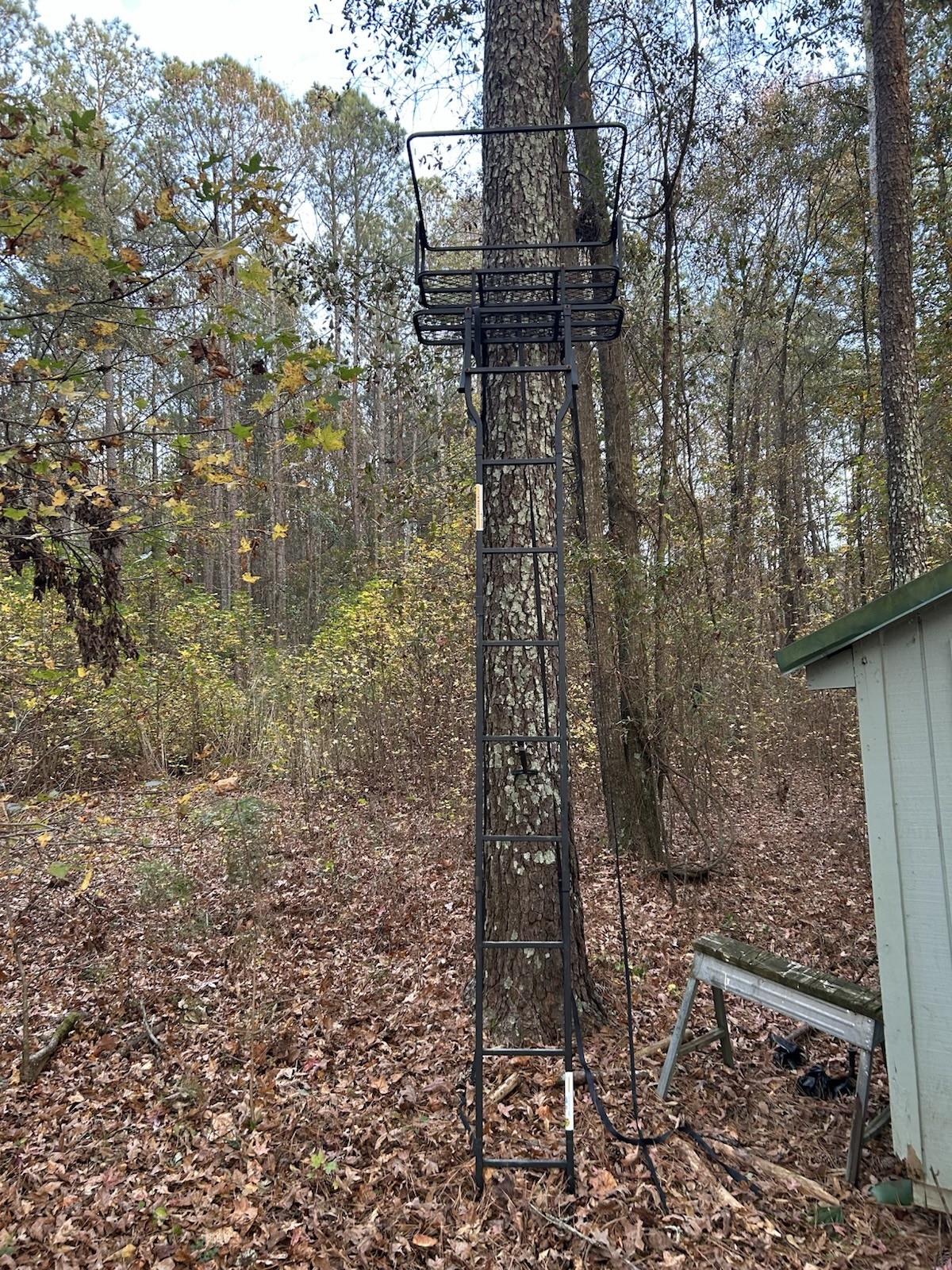 Sportsman’s Guide Gear 15’ Double Shot Jaws Ladder stand