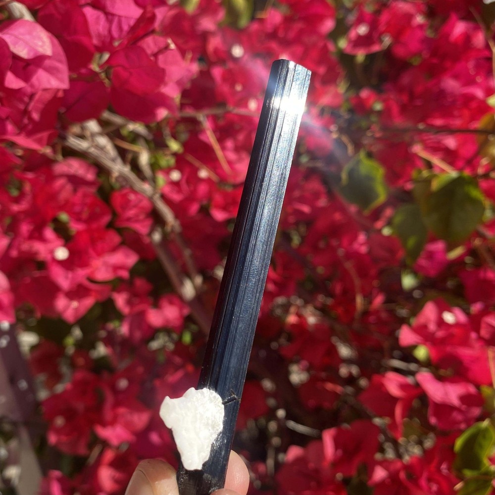 Black Tourmaline with Albite. 22g