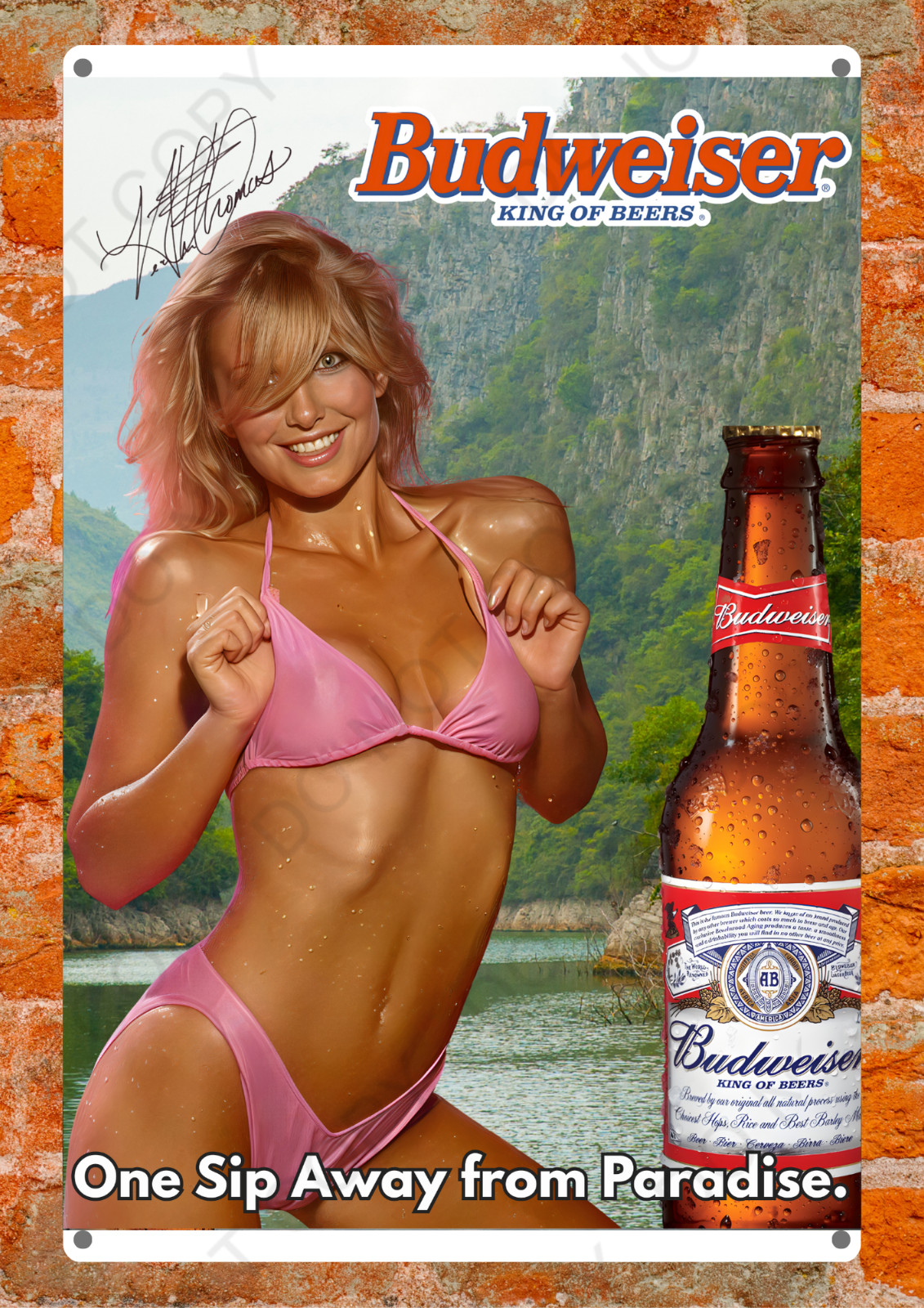 Coors Light Holiday Girls Metal Sign Sexy Girl Vintage Style Wall Decor Read Des