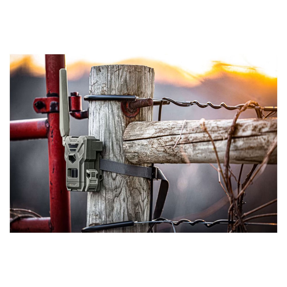 SPYPOINT Flex-M Twin Cellular Trail Camera (FLEX-M-TWIN)
