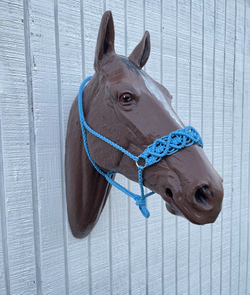 fancy hand braided horse halter