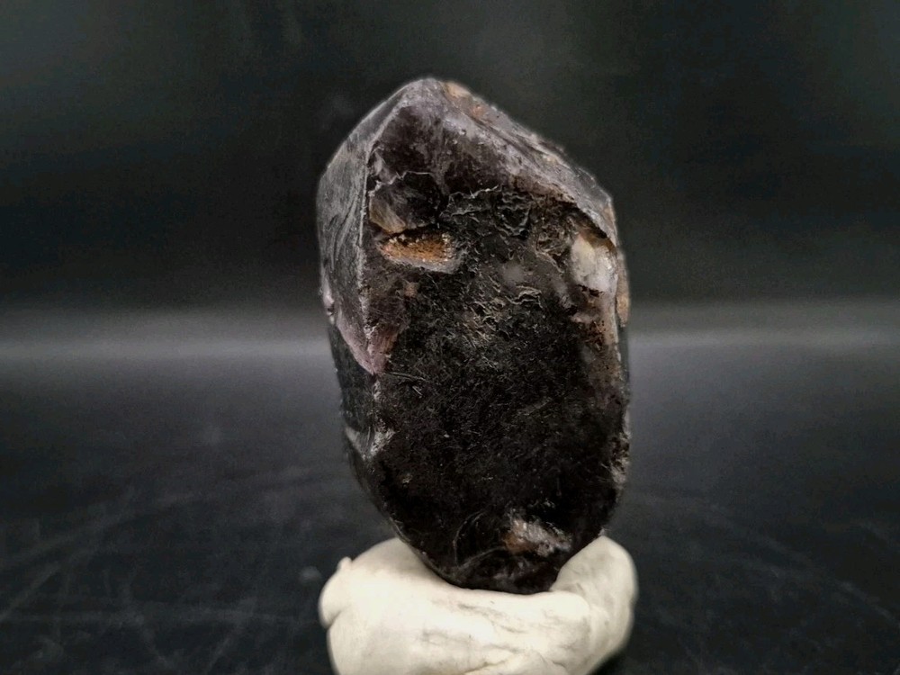 Real Fossil Dinosaur Egg Opalized