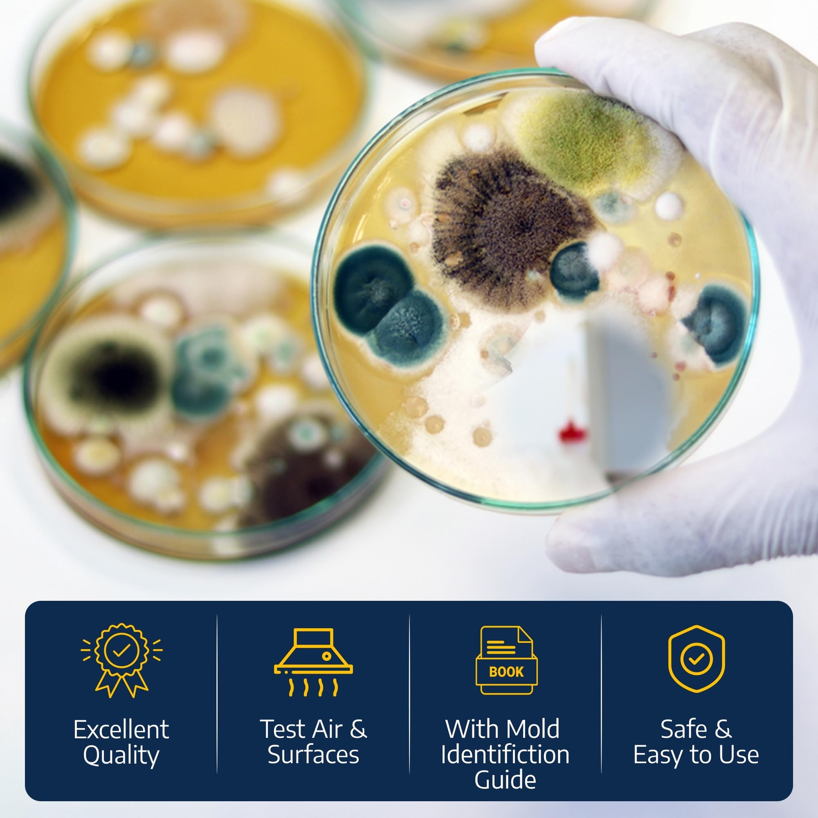 Mold Testing Kit with 10 Individual Tests - DIY Mold Test Kit for Home -