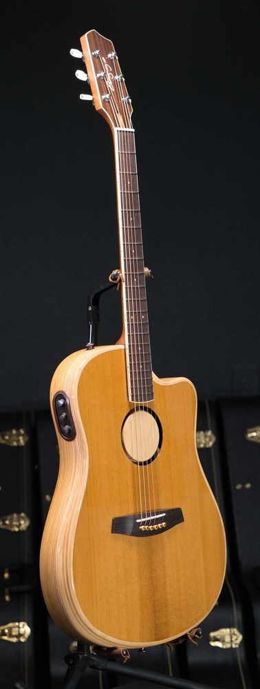 LR Baggs AEG-1 Torrefied Top