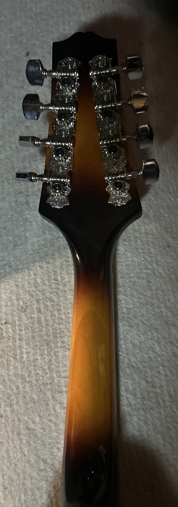 Rogue RM-100A Mandolin