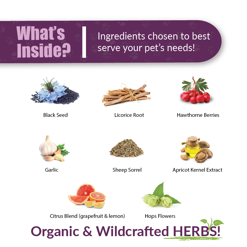 Amber Naturalz HWF - Organic "Clean Heart" Detox 4 Dogs - 4 oz