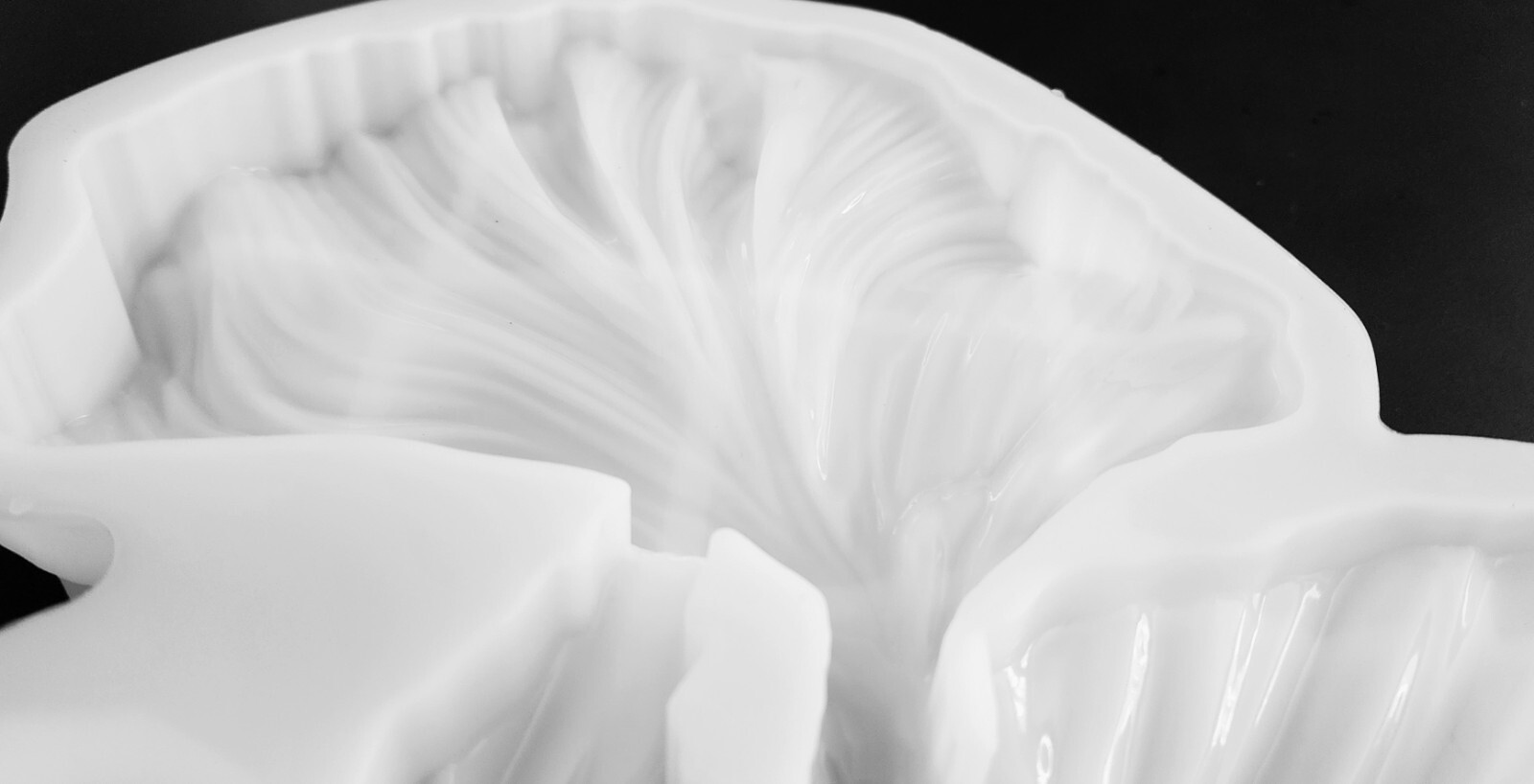 Huge Beta FISH Silicone Mold AU