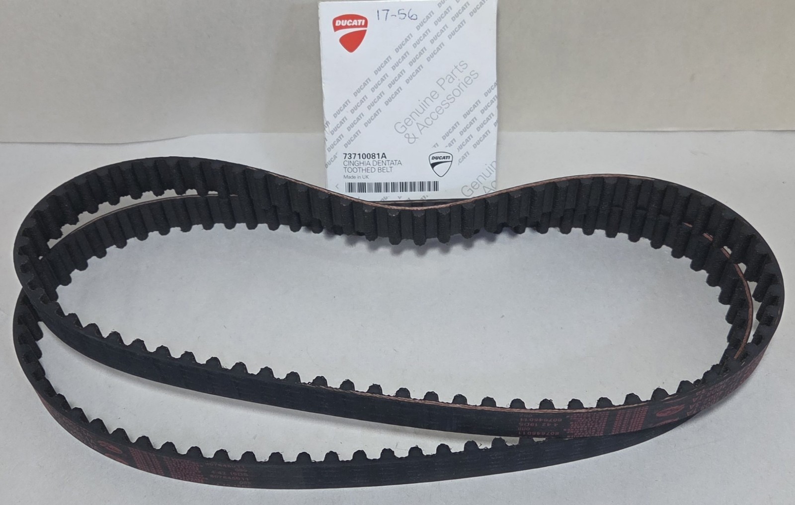 NEW Genuine Ducati Factory Camshaft Cam Toothed Timing Belt Set OEM 73710081A