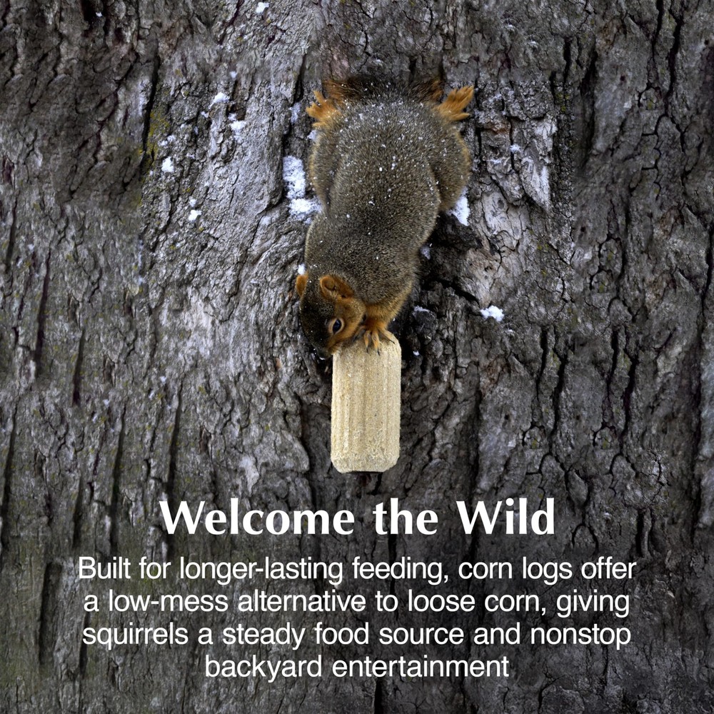 C&S Sweet Corn Squirrelog 6-Pack Refill - Long-Lasting Squirrel Food