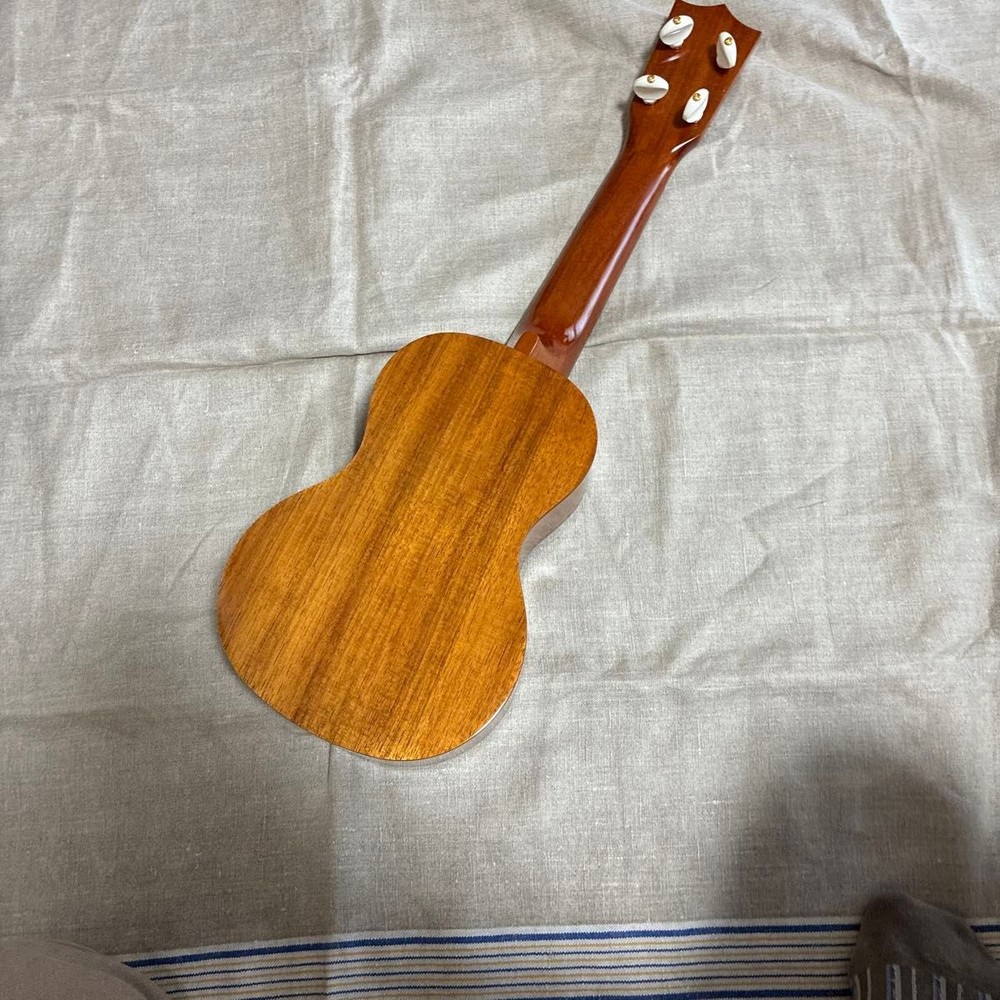 Famous Ukulele FS-5 First Ukulele Set