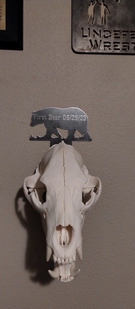 Custom laser Bear Skull Hanger