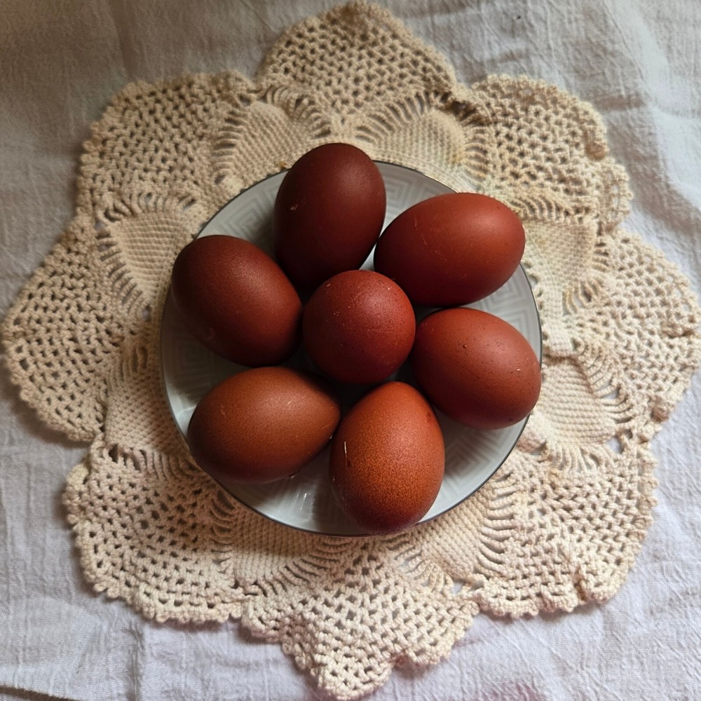 6 Dark Chocolate Hatching Eggs