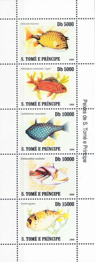 W SAINT-THOMAS 1776 BUTTERFLIES