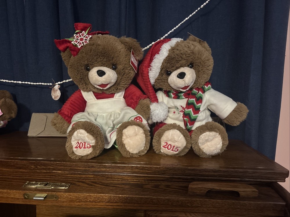 2015 Snowflake Bears