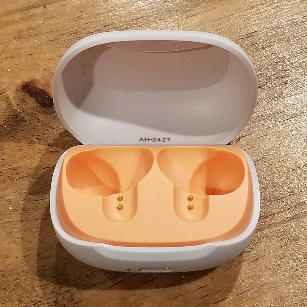 Skullcandy Smokin' Buds OEM Replacement CASE ONLY White 0511