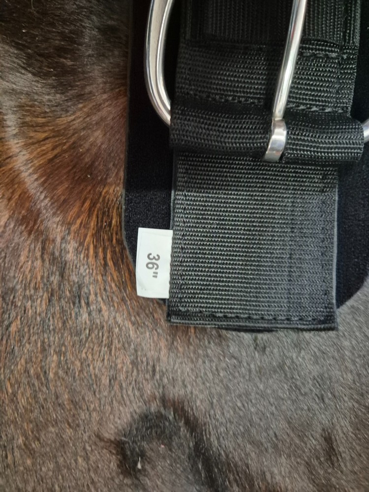 Roper cinch with removeable liner 36" western girth