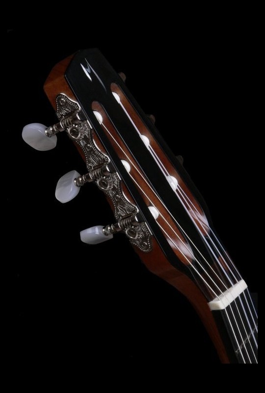 MARCHESINI GUITARS MODEL MACCAFERRI